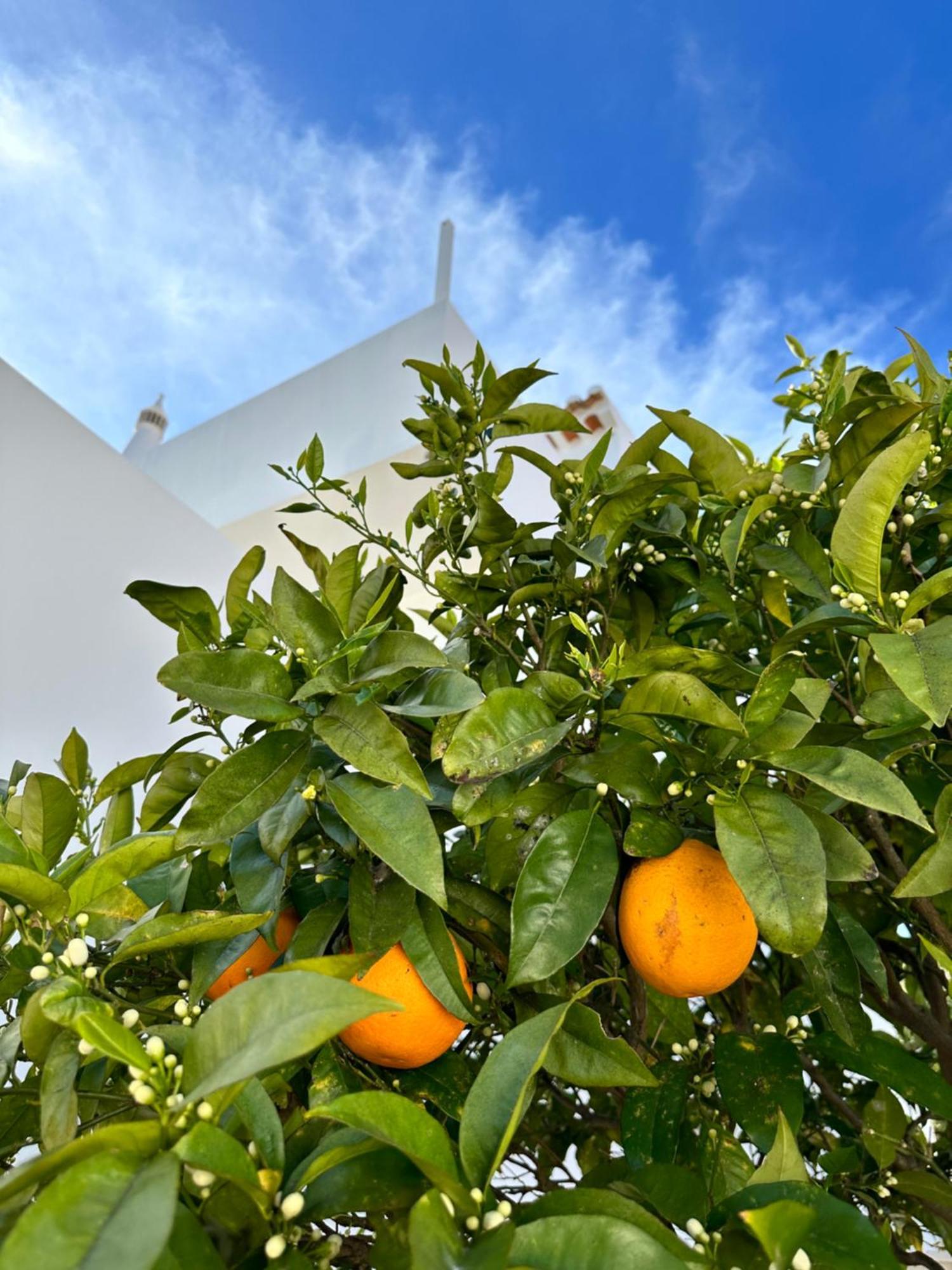Casa Malia Luxury Guest House Senhora da Luz 외부 사진